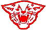 Wildcat logo